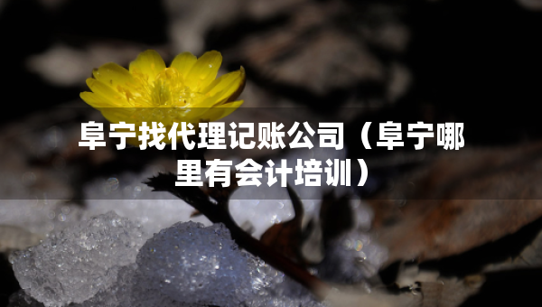 阜宁找代理记账公司（阜宁哪里有会计培训）