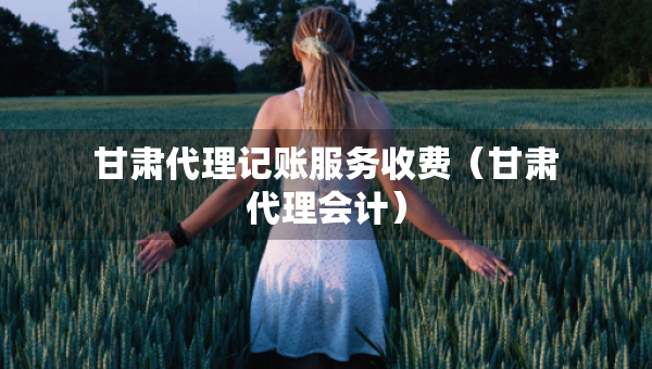 甘肃代理记账服务收费（甘肃代理会计）