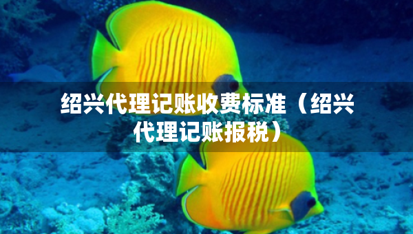 绍兴代理记账收费标准（绍兴代理记账报税）