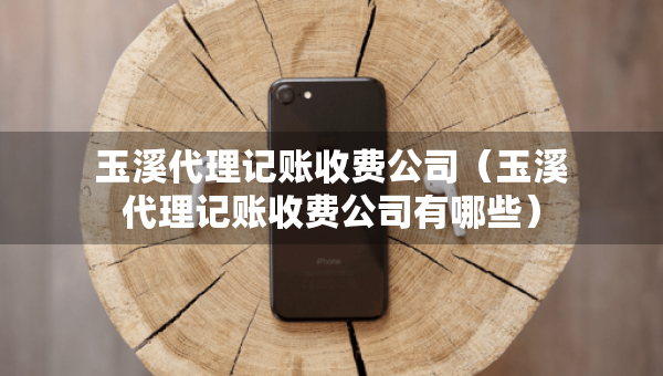 玉溪代理记账收费公司（玉溪代理记账收费公司有哪些）