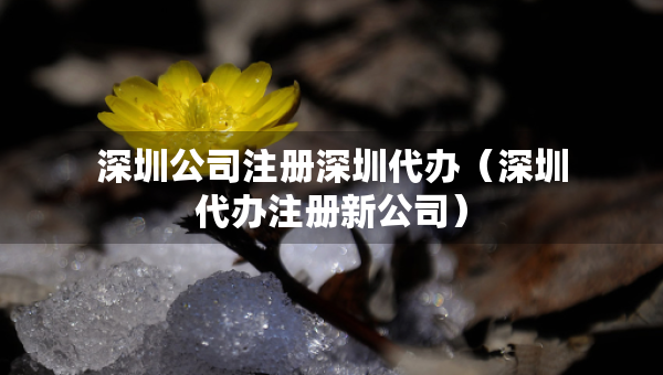 深圳公司注册深圳代办（深圳代办注册新公司）