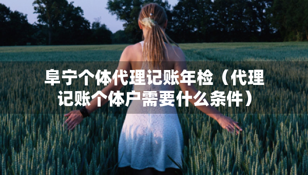 阜宁个体代理记账年检（代理记账个体户需要什么条件）