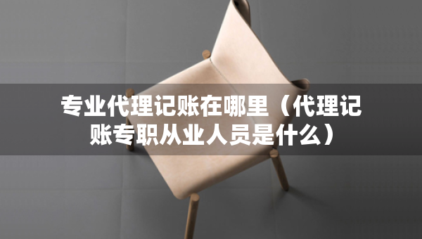 专业代理记账在哪里（代理记账专职从业人员是什么）