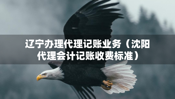 辽宁办理代理记账业务（沈阳代理会计记账收费标准）