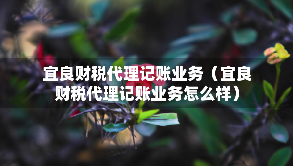 宜良财税代理记账业务（宜良财税代理记账业务怎么样）