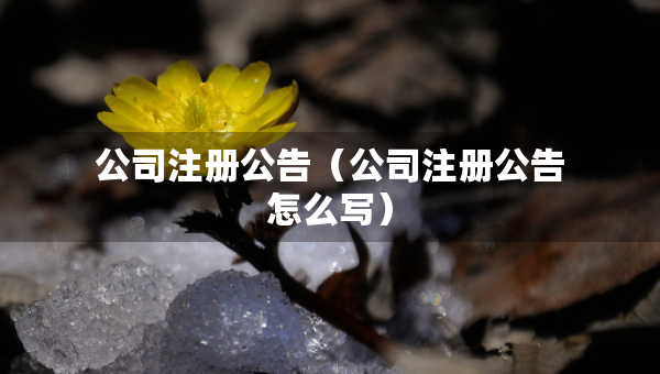 公司注册公告（公司注册公告怎么写）