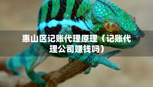 惠山区记账代理原理（记账代理公司赚钱吗）