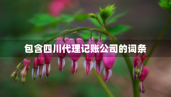 包含四川代理记账公司的词条