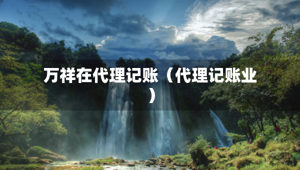 万祥在代理记账（代理记账业）
