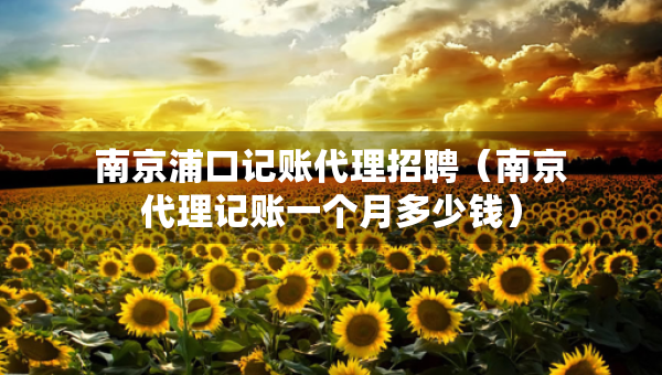 南京浦口记账代理招聘（南京代理记账一个月多少钱）