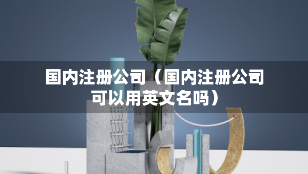 国内注册公司（国内注册公司可以用英文名吗）