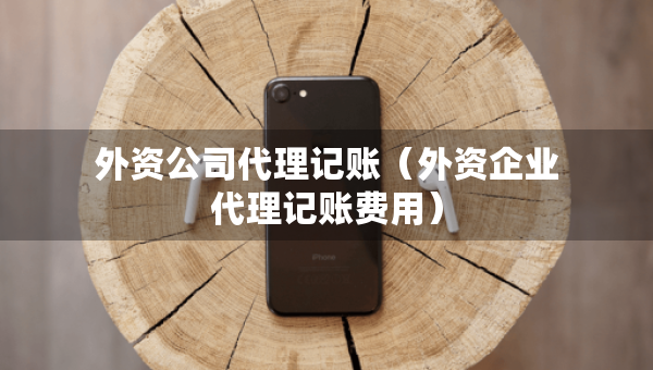 外资公司代理记账（外资企业代理记账费用）