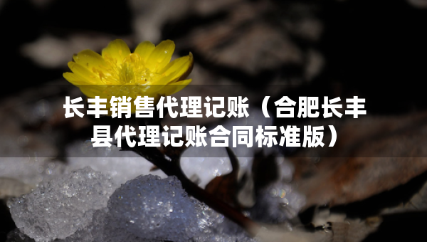 长丰销售代理记账（合肥长丰县代理记账合同标准版）