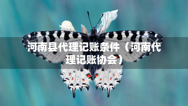 河南县代理记账条件（河南代理记账协会）