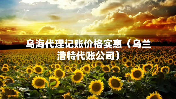 乌海代理记账价格实惠（乌兰浩特代账公司）