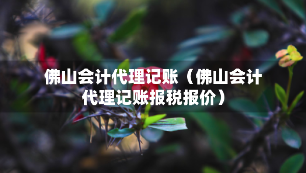 佛山会计代理记账（佛山会计代理记账报税报价）