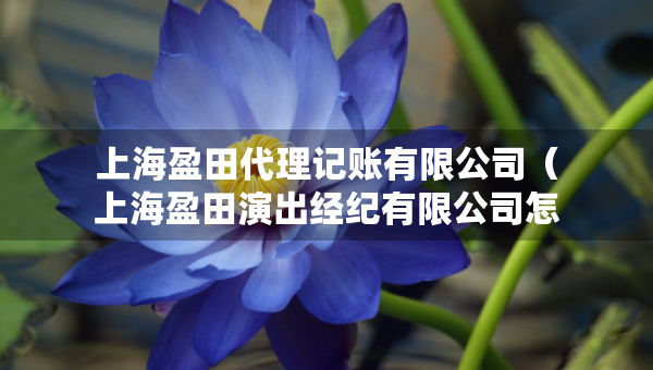 上海盈田代理记账有限公司（上海盈田演出经纪有限公司怎么样）