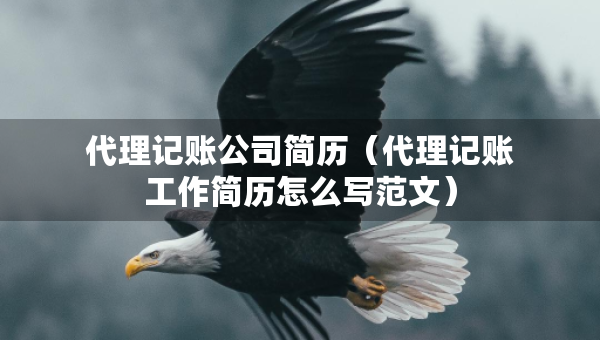 代理记账公司简历（代理记账工作简历怎么写范文）
