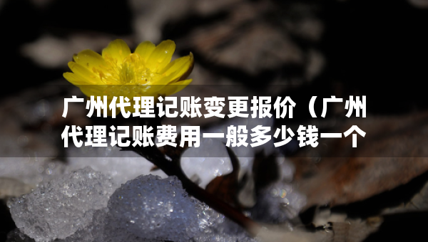 广州代理记账变更报价（广州代理记账费用一般多少钱一个月）