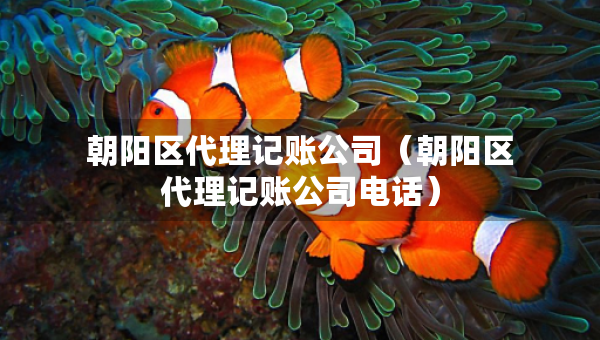 朝阳区代理记账公司（朝阳区代理记账公司电话）