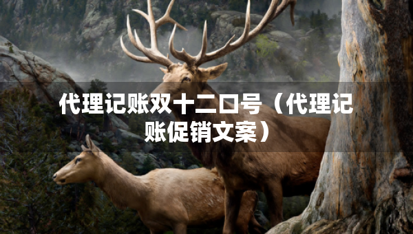 代理记账双十二口号（代理记账促销文案）