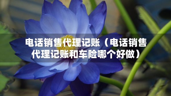 电话销售代理记账（电话销售代理记账和车险哪个好做）