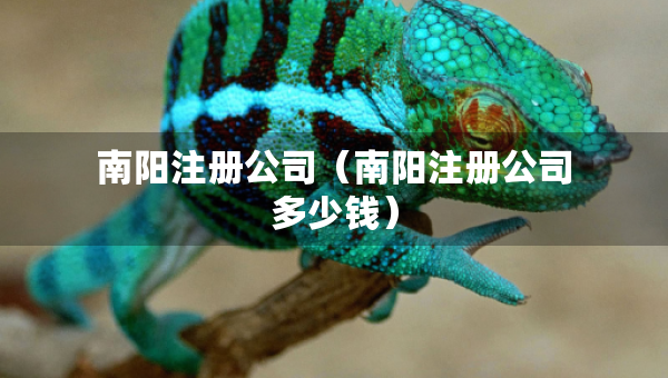 南阳注册公司（南阳注册公司多少钱）
