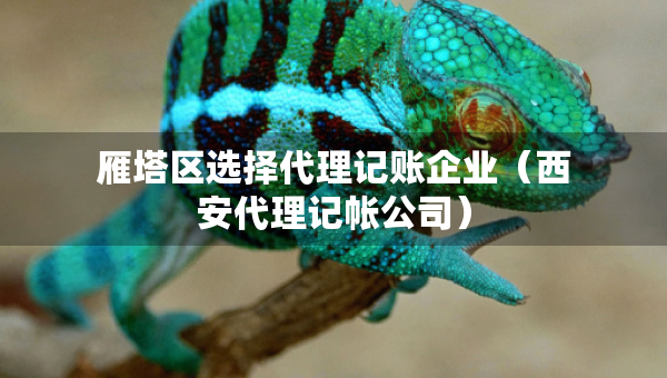 雁塔区选择代理记账企业（西安代理记帐公司）