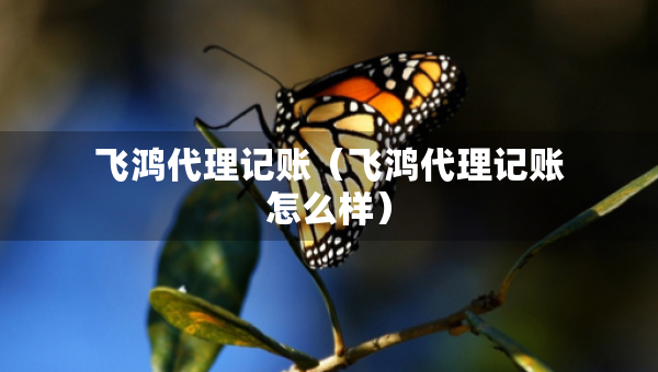 飞鸿代理记账（飞鸿代理记账怎么样）