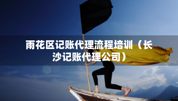 雨花区记账代理流程培训（长沙记账代理公司）