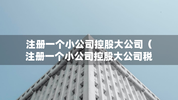 注册一个小公司控股大公司（注册一个小公司控股大公司税务怎么办）