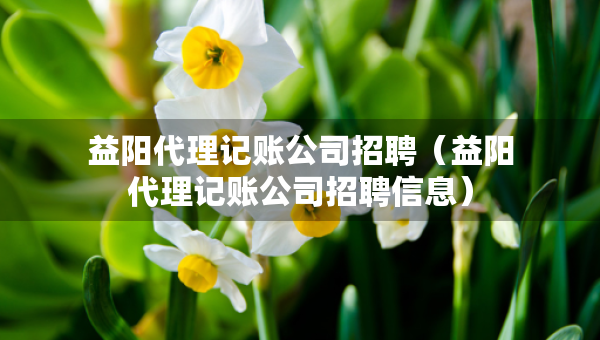 益阳代理记账公司招聘（益阳代理记账公司招聘信息）