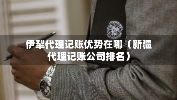 伊犁代理记账优势在哪（新疆代理记账公司排名）