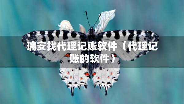 瑞安找代理记账软件（代理记账的软件）