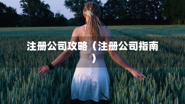 注册公司攻略（注册公司指南）