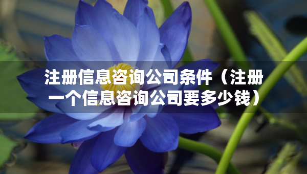 注册信息咨询公司条件（注册一个信息咨询公司要多少钱）