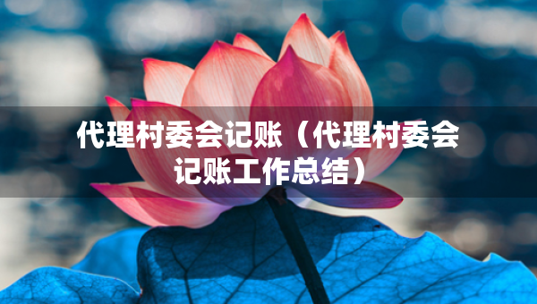 代理村委会记账（代理村委会记账工作总结）