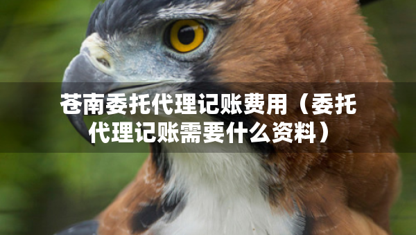 苍南委托代理记账费用（委托代理记账需要什么资料）