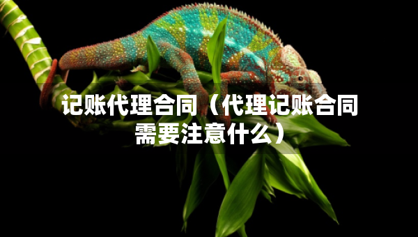 记账代理合同（代理记账合同需要注意什么）