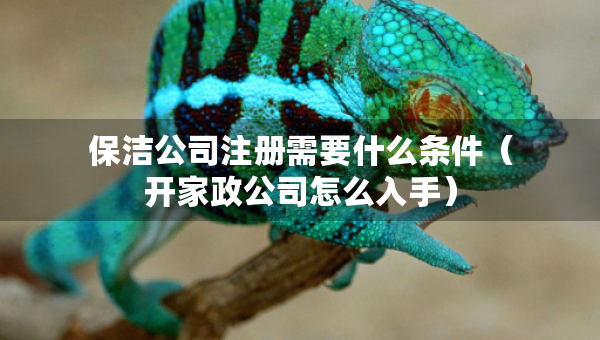 保洁公司注册需要什么条件（开家政公司怎么入手）