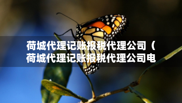 荷城代理记账报税代理公司（荷城代理记账报税代理公司电话）
