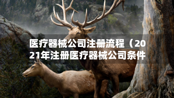 医疗器械公司注册流程（2021年注册医疗器械公司条件）