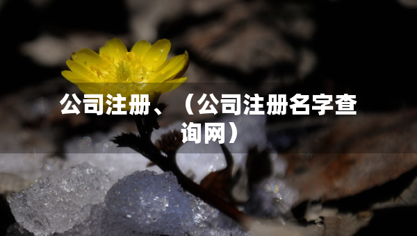 公司注册、（公司注册名字查询网）