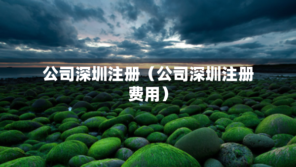 公司深圳注册（公司深圳注册费用）
