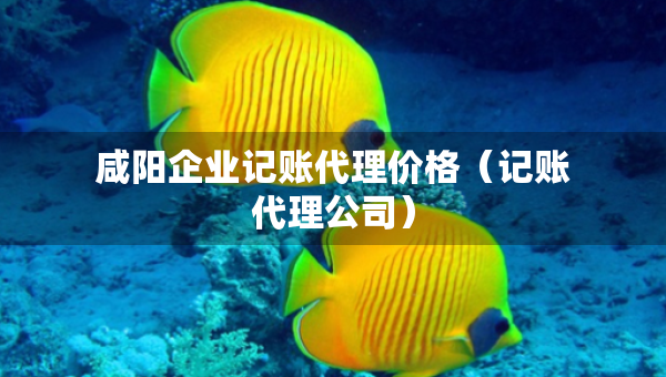 咸阳企业记账代理价格（记账代理公司）