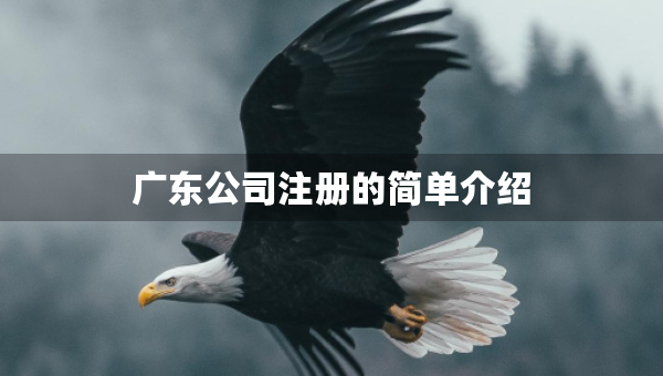 广东公司注册的简单介绍