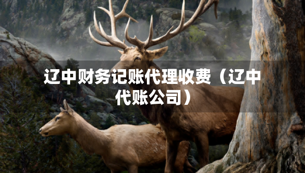 辽中财务记账代理收费（辽中代账公司）