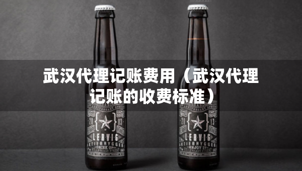 武汉代理记账费用（武汉代理记账的收费标准）