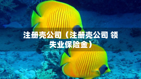 注册壳公司（注册壳公司 领失业保险金）