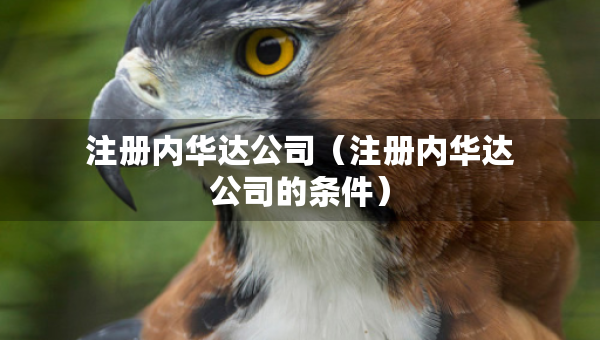 注册内华达公司（注册内华达公司的条件）